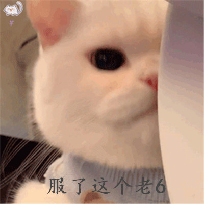 老六专属头像