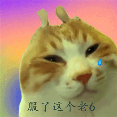 老六专属头像