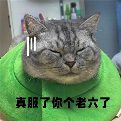 老六专属头像