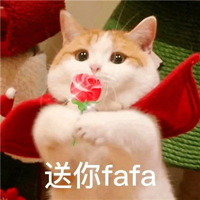 老六专属头像