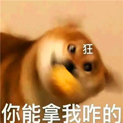 老六专属头像