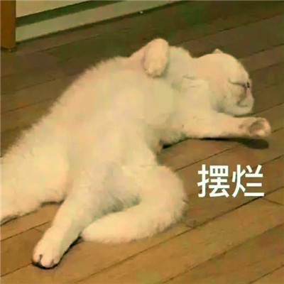 老六专属头像