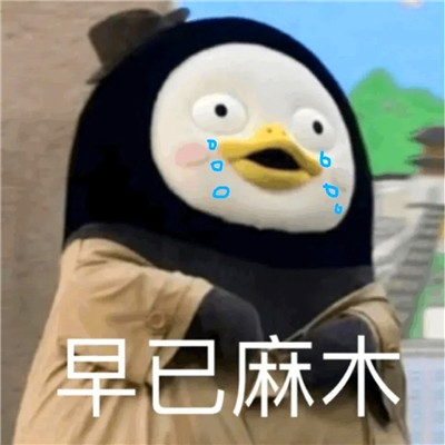 老六专属头像