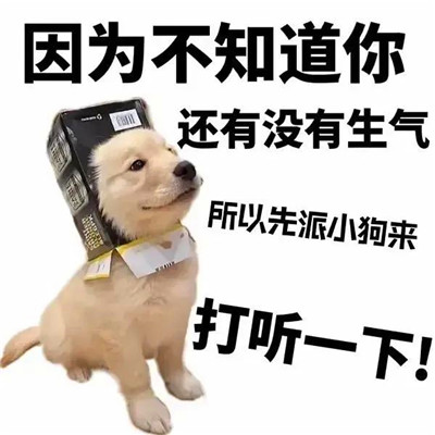 老六专属头像