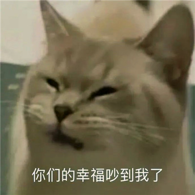 老六专属头像