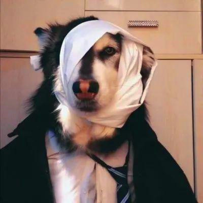 沙雕头像225张