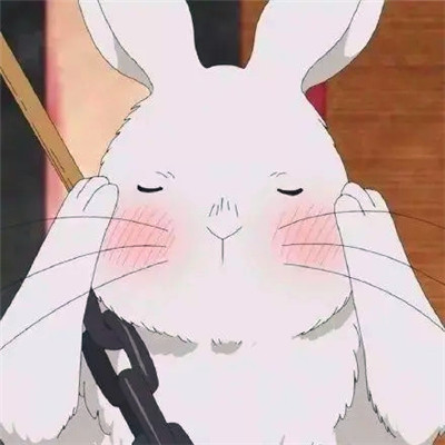 沙雕头像225张