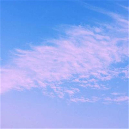 2025简单头像