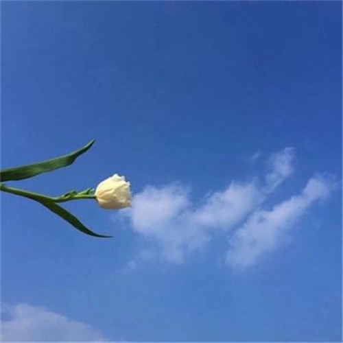 2025简单头像
