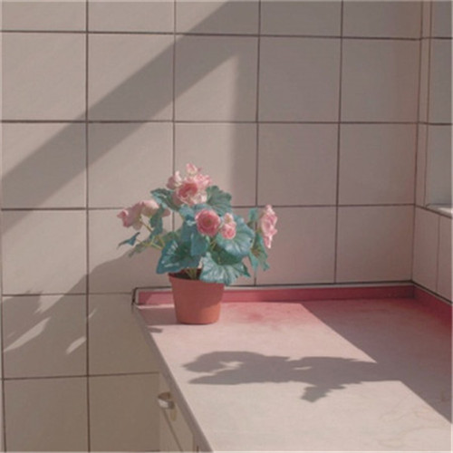 2025简单头像