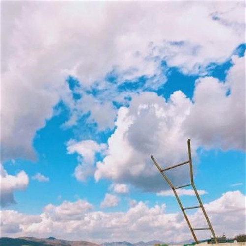 2025微信头像简约干净