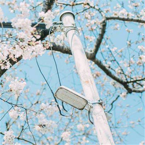 2025微信头像简约干净