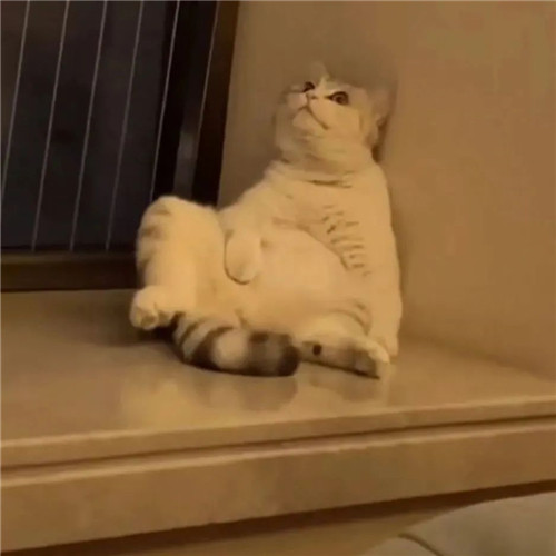 摆烂头像