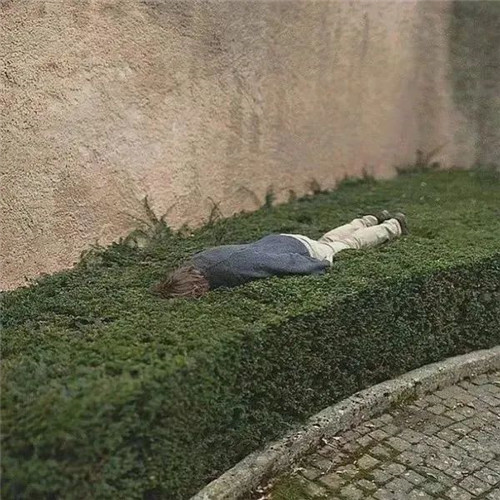 摆烂头像