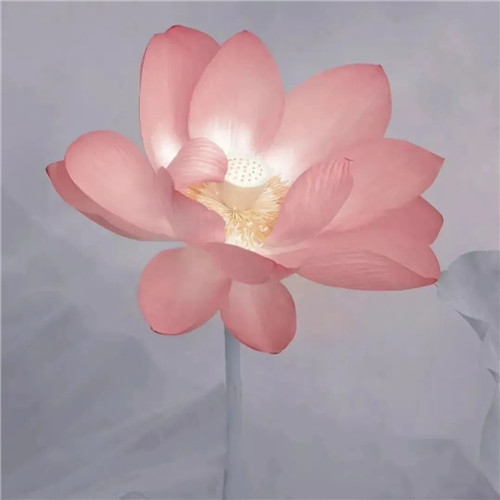 中年人老年人专属头像荷花图片