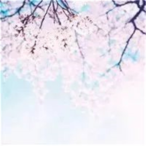 适合妈妈用的高雅微信头像