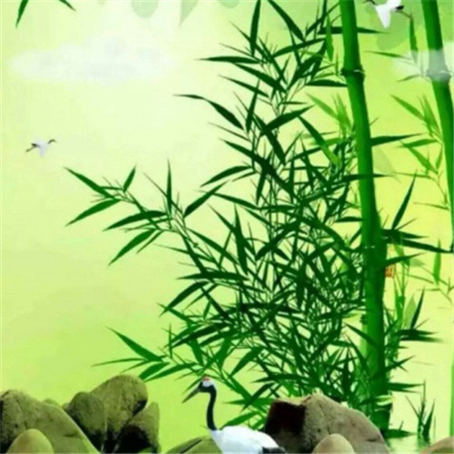 适合妈妈用的高雅微信头像