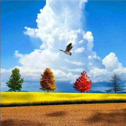 爸爸们爱用的头像