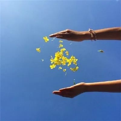 旺自己的微信头像