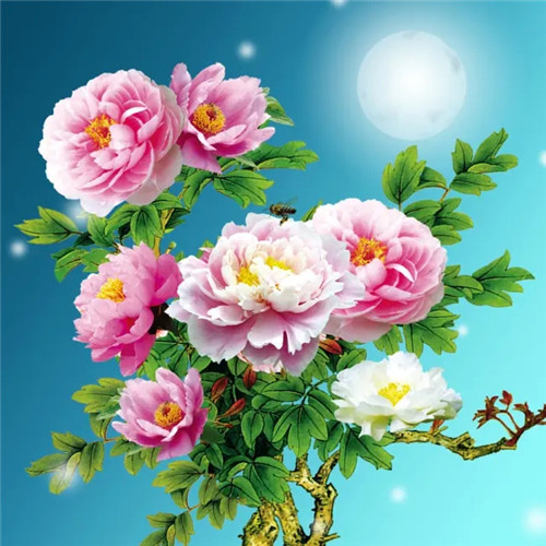 花开富贵头像
