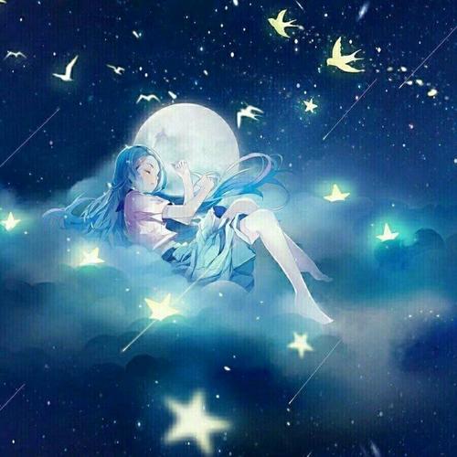 永久不换冷门的头像
