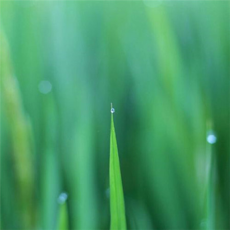 微信头像2025年最新版治愈风景图片