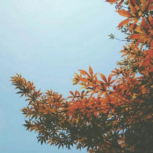 简单的头像干净大方