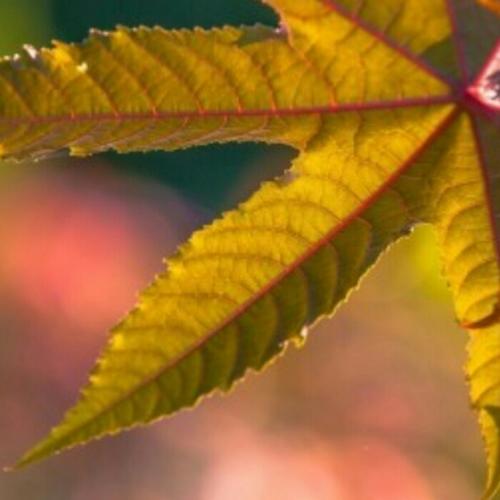 简单的头像干净大方