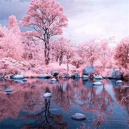 风景头像好看