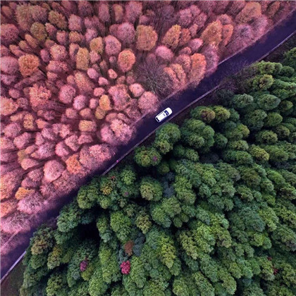 风景头像好看