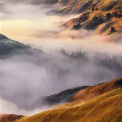 风景头像好看