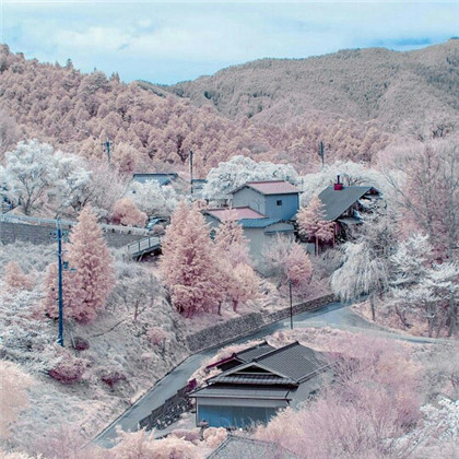 适合女人做头像的风景