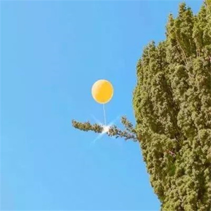 适合女人做头像的风景