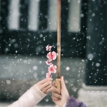 适合女人做头像的风景