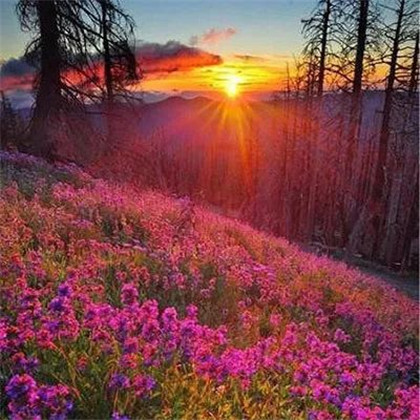 适合女人做头像的风景