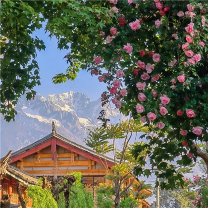 适合女人做头像的风景