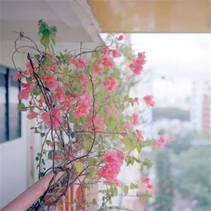 适合女人做头像的风景