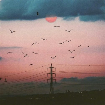 男士头像2025最新图片