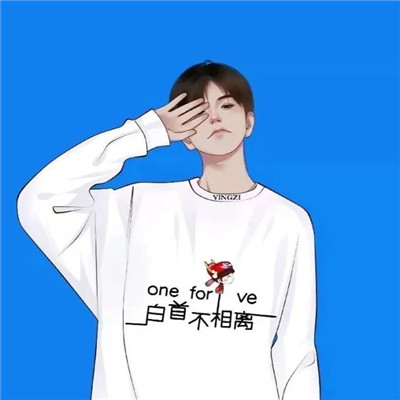 高级感满满的情侣头像2025