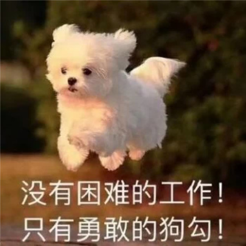 2025年正能量微信头像