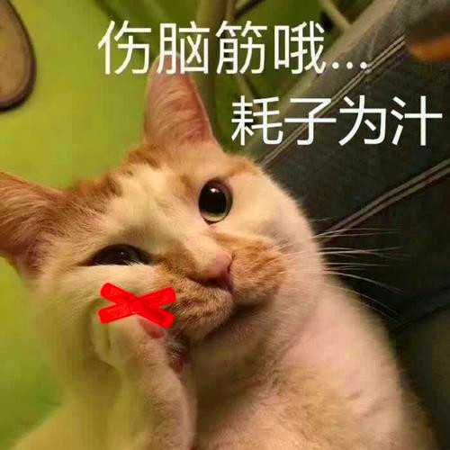 沙雕又好看的搞怪头像图片