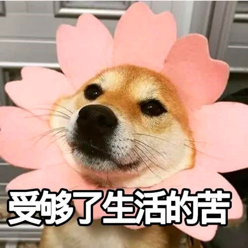 沙雕又好看的搞怪头像图片