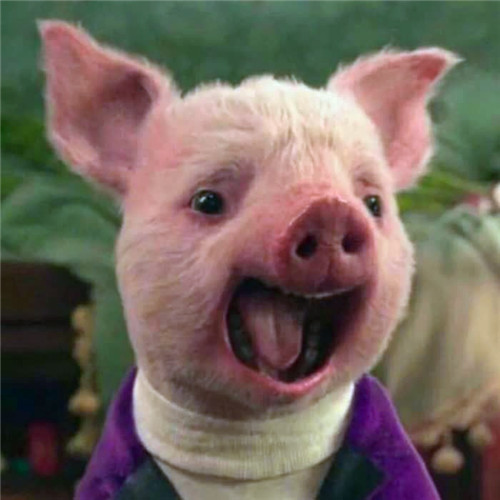 沙雕又好看的搞怪头像图片