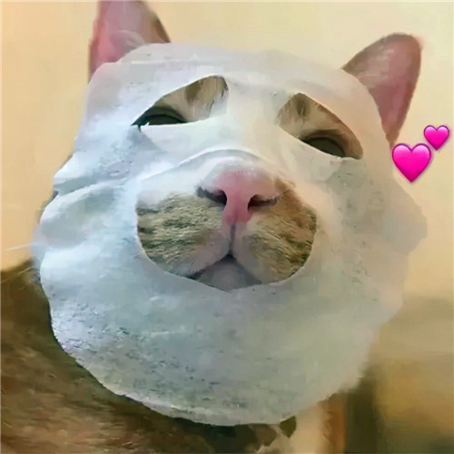 沙雕又好看的搞怪头像图片