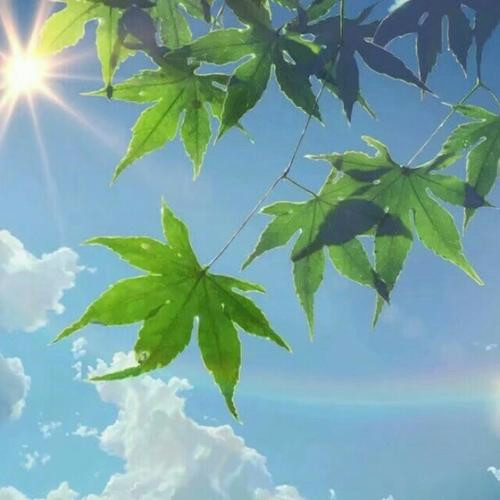 给人一种阳光的头像