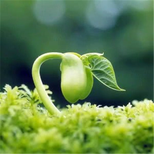 给人一种阳光的头像