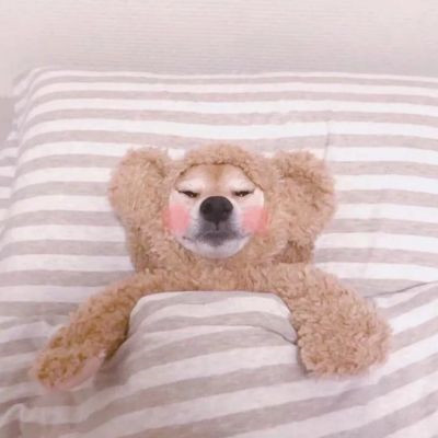 头像越怪,本人越帅