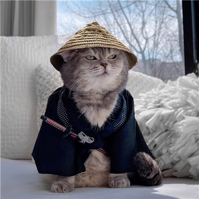 头像越怪,本人越帅