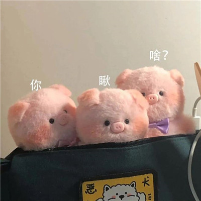 头像越怪,本人越帅