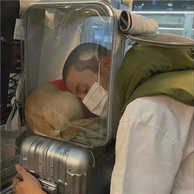 头像越怪,本人越帅